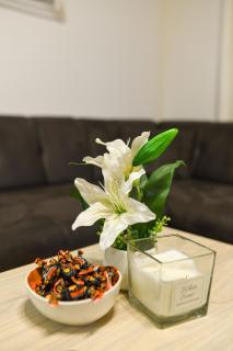 Premium Suite - Novi Sad - 1