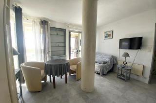 Studio spacieux et vue imprenable sur la mer - 7