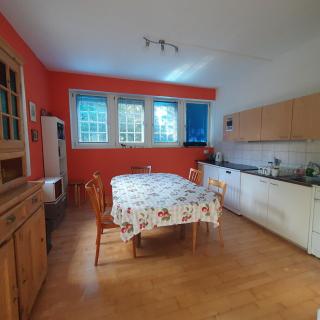 Zentral gelegene Wohnung mit grossem Garten - 1