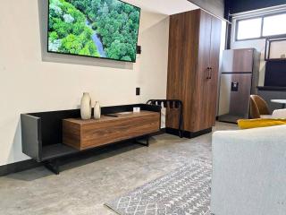 Loft hierro en excelente ubicación! - San Luis Potosí - 7