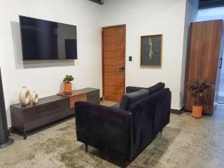 Loft cobre en excelente ubicación - San Luis Potosí - 7