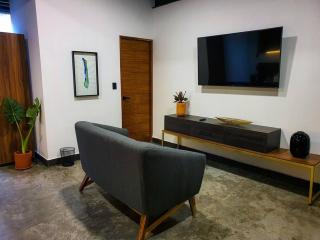 Loft Bronce en excelente ubicación! - San Luis Potosí - 7