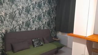 Studio cosy en rez-de-chaussée - Bourbonne-les-Bains - 1