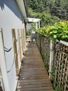 A Sea View B&B - Picton - 4