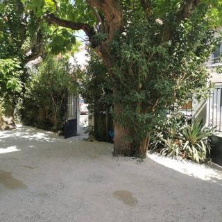Magnifique maison années 30 proche des remparts - Avignon - 9