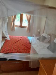 Florine's Garden - Gili Islands - 7