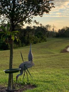 Rooms SWEET Rooms - 1