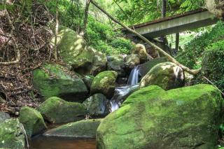 The Yurt at Lothlorien - Bellawongarah - 5