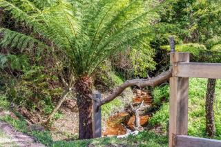 The Yurt at Lothlorien - Bellawongarah - 4