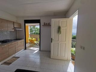 Nid d'Aigle Tropical - 5