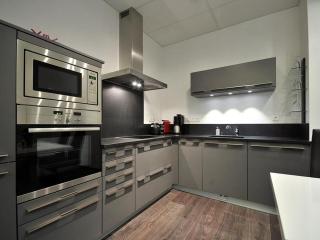 Appartement Rénové, 3 Ch. avec Parking Privé, Hyper-Centre Colmar - FR-1-744-36 - Colmar - 4