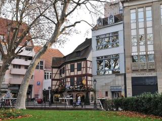 Appartement Rénové, 3 Ch. avec Parking Privé, Hyper-Centre Colmar - FR-1-744-36 - 9