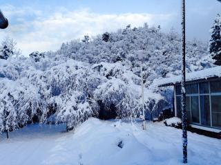 Amanohashidate Youth Hostel - Vacation STAY 94805v - Miyazu - 1