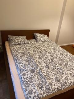 Large 3 bedroom family apartment close to the river - Prague - 7