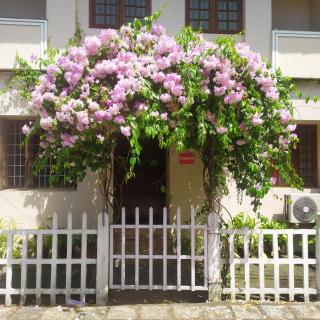 Sundance Beach Villa - Cochin - 0