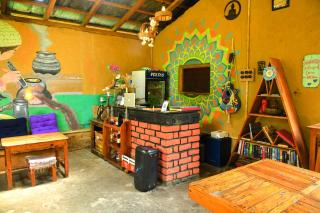 Monkey Mud House and Camps, Bir - 2