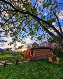 Kingswood Cabins Borjomi - 4
