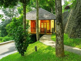 Forest Canopy Thekkady - 4