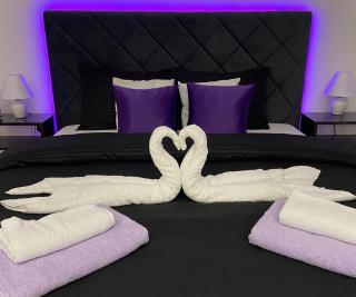 GLAMUR APARTMANI Novi Sad - Novi Sad - 3