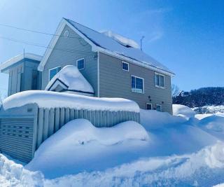 Niseko Powder fox - 0