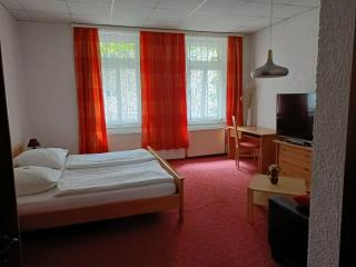 Hotel Zum Goldenen Löwen - Merseburgo - 9