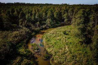 Sauna, balia i drewniana chata nad rzeką - - 4