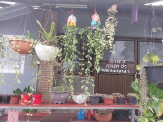 Khai Mook Homestay - Nan - 9