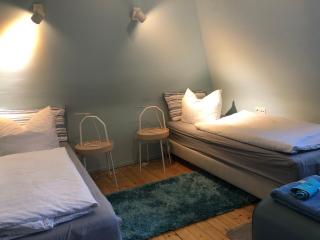 Blaues Zimmer mit grossem Balkon, Bad ist ein Traum, 50 Schritte zum Radweg am Main,ideal for short stay - Mainstockheim - 2