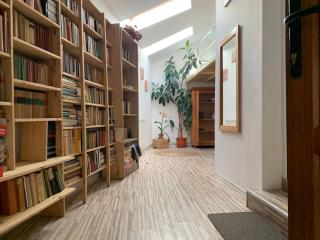 Bright and Pleasant Home - 5