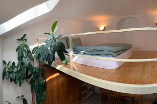 Bright and Pleasant Home - Cluj-Napoca - 7