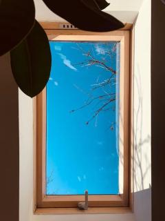 Bright and Pleasant Home - Cluj-Napoca - 3