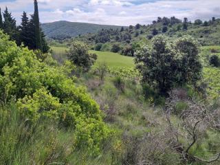 Gite dans les collines - Montirat - 9