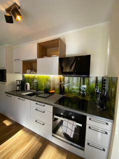 Rollstuhlgerechtes Ferienapartment A1 Villa Wilisch 65qm - Amtsberg - 1
