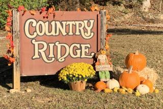 Country Ridge - 4