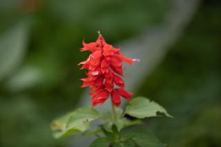 Gatimene Gardens Hotel - 4