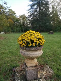 Domaine de Préfond - Bengy-sur-Craon - 8