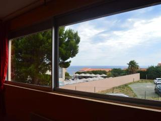 Appartement 2 pièces avec parking à Banyuls-sur-Mer - FR-1-225C-62 - Banyuls-sur-Mer - 6
