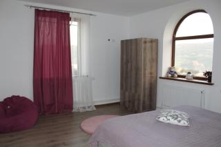 Bears and Berries - 5