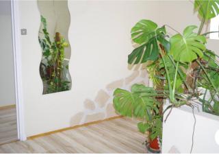 L'appartement 90m2 climatisé - Avignon - 1