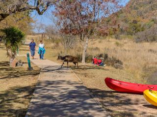 Waterberg Game Park - Mokopane - 2