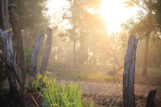 สวนสน โฮมสเตย์ - 1