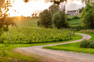 Three Choirs Vineyards - Newent - 0