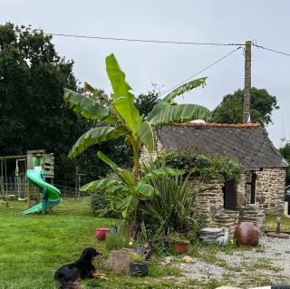 Maison d'Hôtes Ty Belle - 1