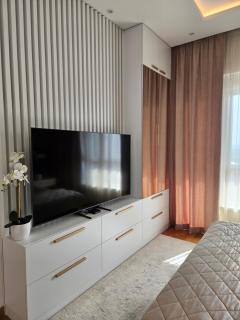 The One Apartment Fruške Residence - Vrdnik - 7