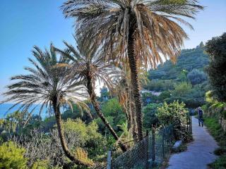 Caligo Appartamento incantevole a due passi dal mare - Bordighera - 8