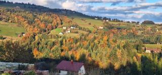 Agroturystyka Koronkowe Zacisze - Koniaków - 3