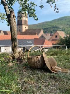 Gîte Le Cottage avec Terrasse et Piscine - Kaysersberg - 4