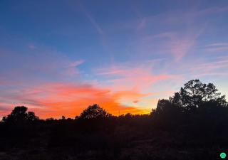 Pinyon View Murdock Cabin - Verdure - 9