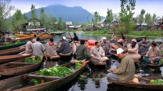H.B Holiday home - Srinagar - 6