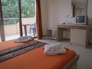 Family Hotel Golden Lion - 5